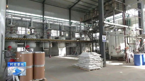 牢記囑托 乘勢而上 李哲調(diào)研城西機電化工產(chǎn)業(yè)集聚區(qū)，強調(diào)安全高效推動化工生產(chǎn)